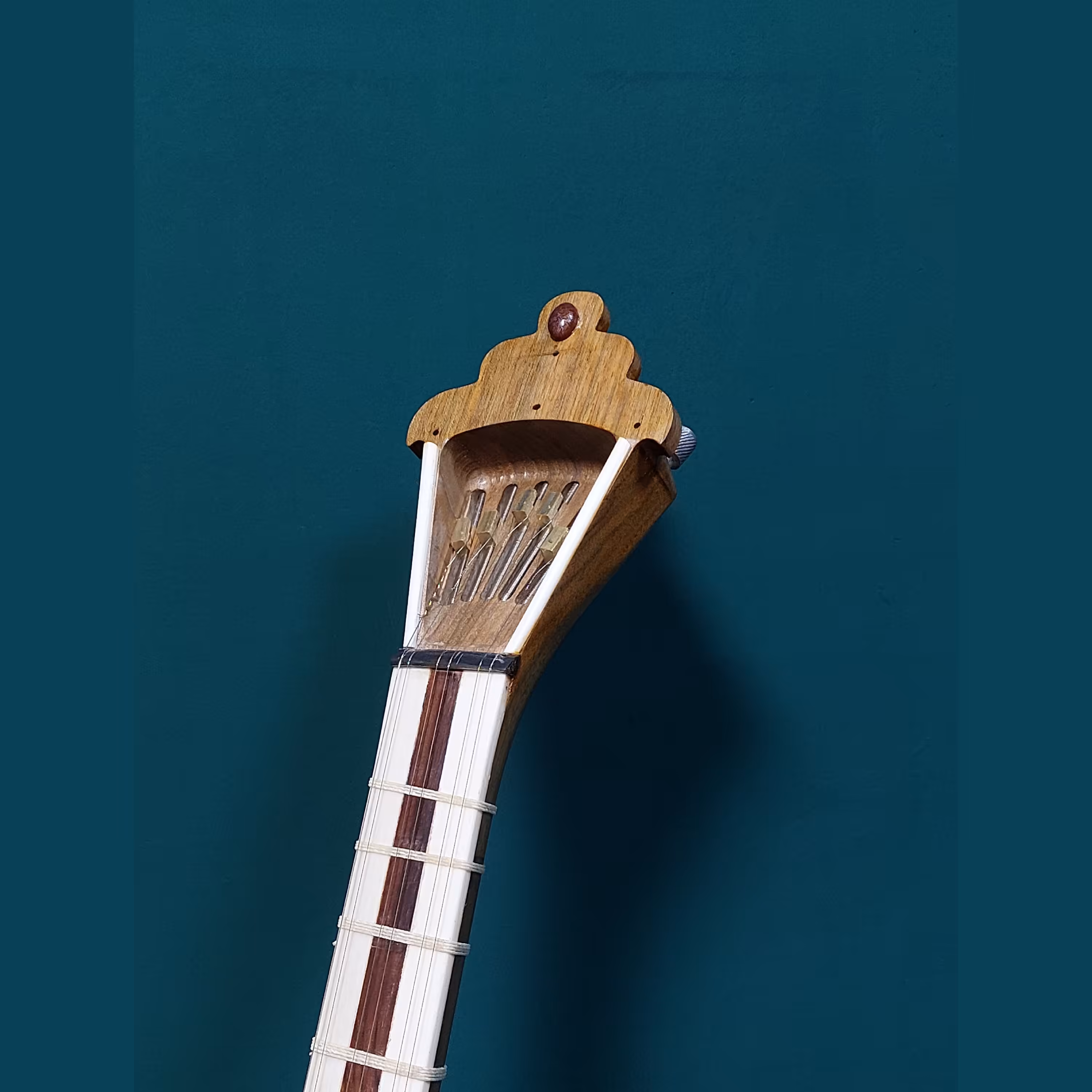 تار سر پنجه طاووسی