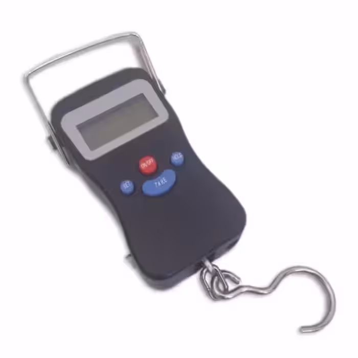 ترازوی آویز کیا DG8