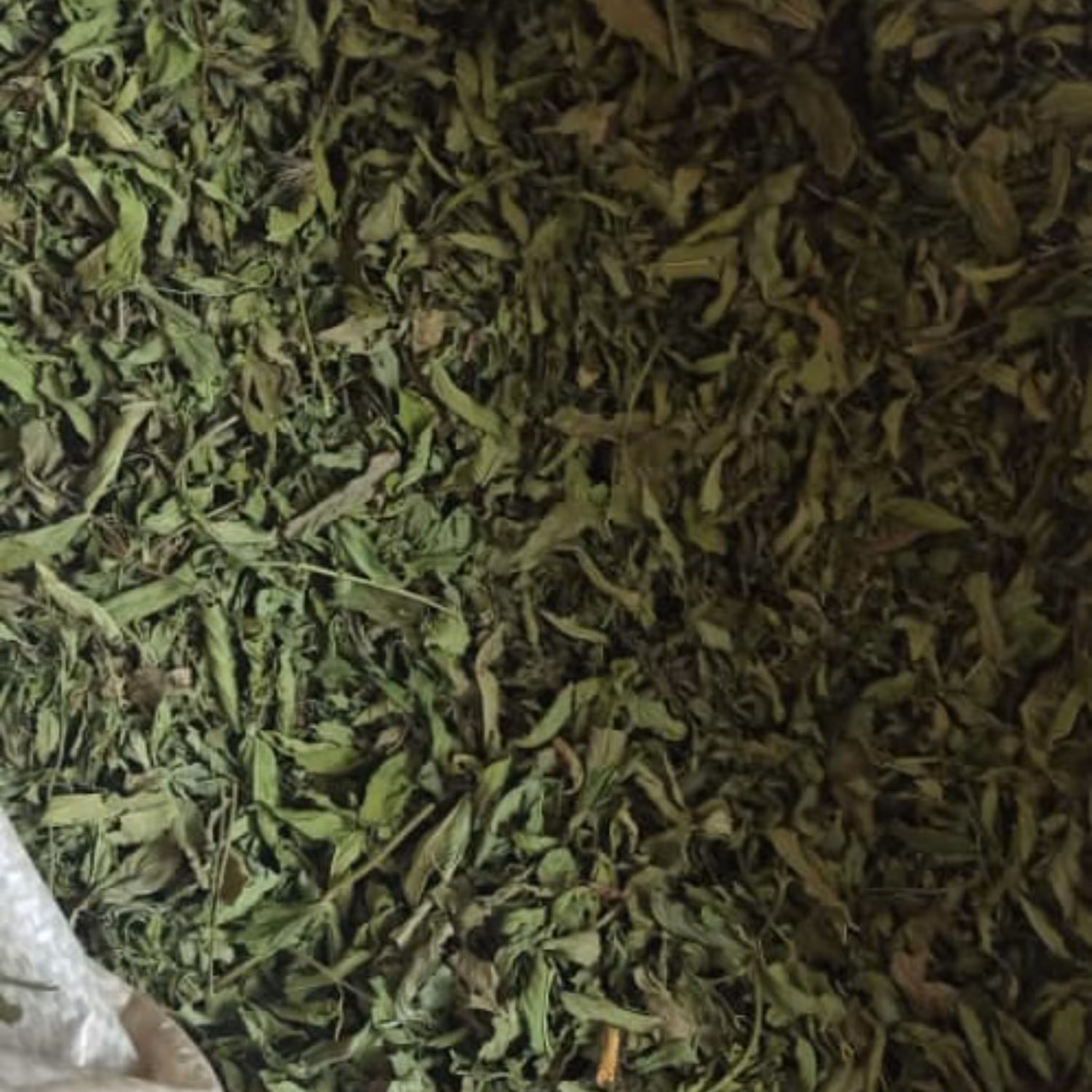 نعنا خشک محلی پر عطر  کاملا تمیز