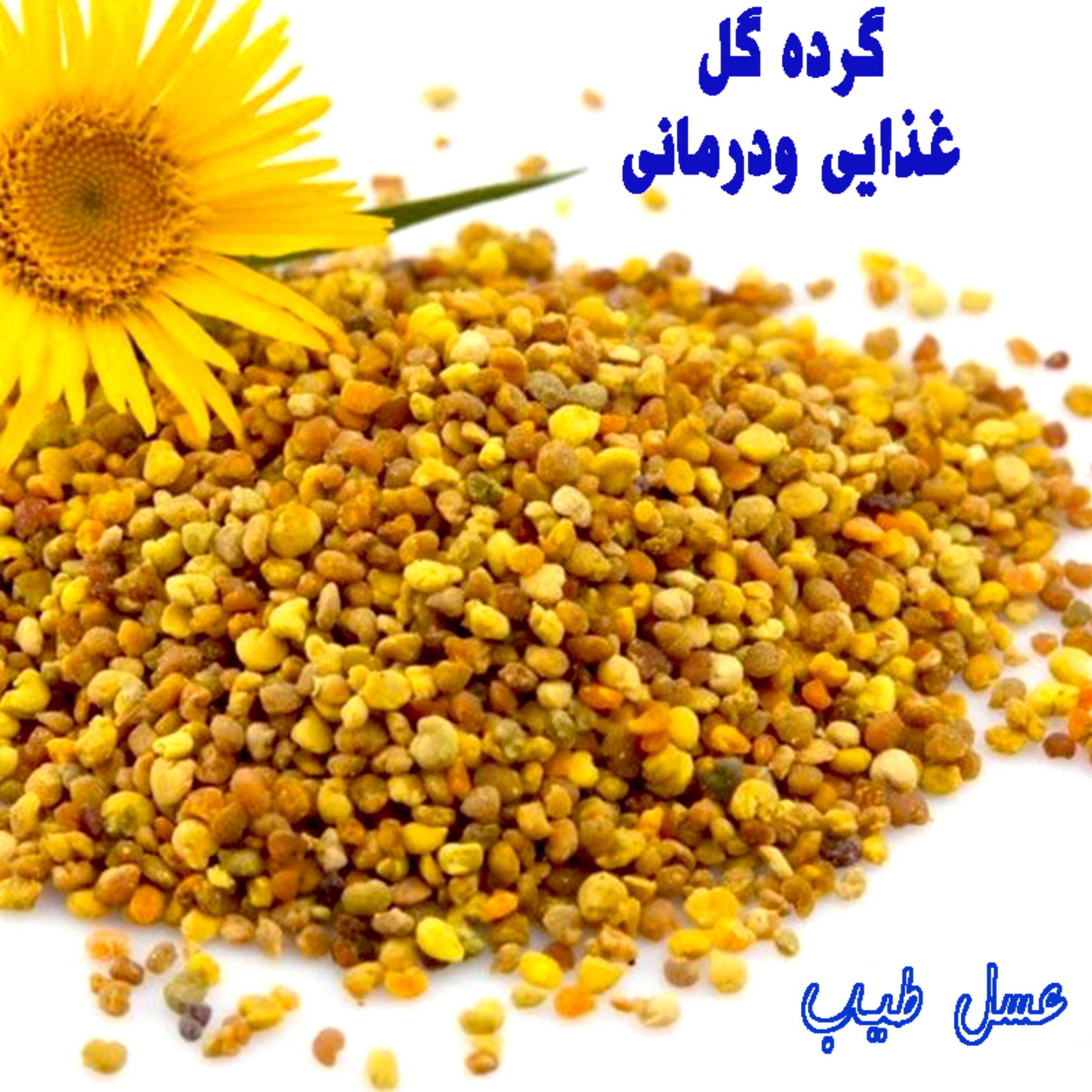 گرده گل