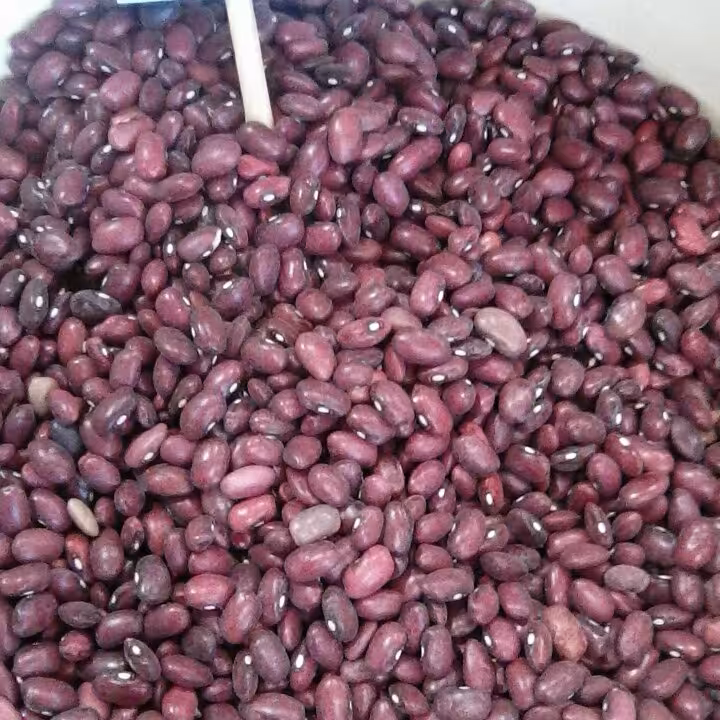 لوبیاقرمز محلی 1کیلوگرم