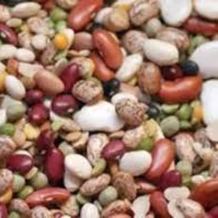 بذر لوبیا میکس 20 عددی