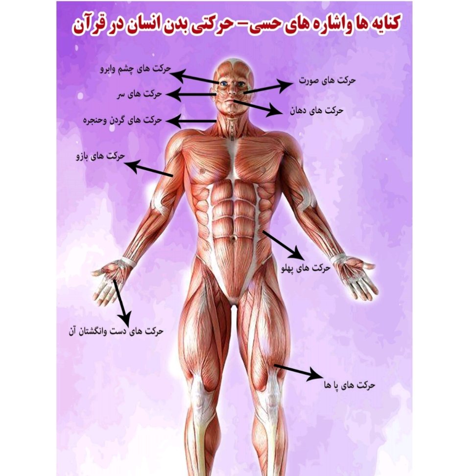 اشارات و کنایه های بدن انسان