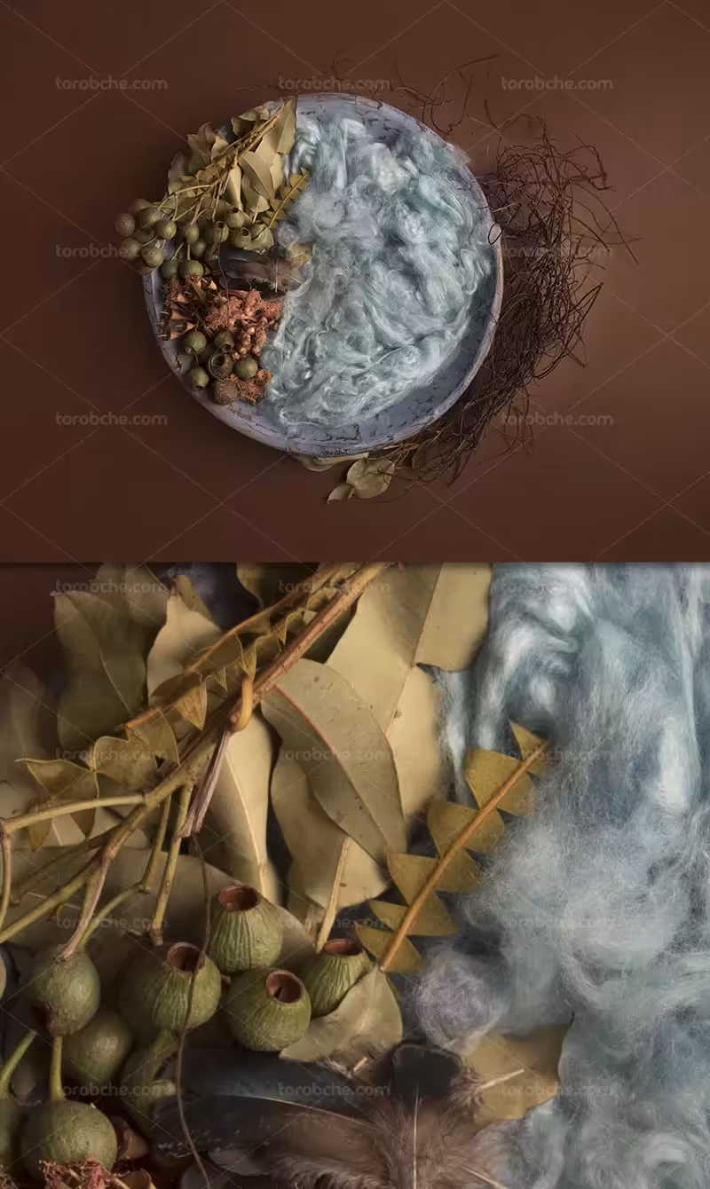 بکگراند عکاسی نوزاد در سبد چوبی | گرافیک با طعم تربچه