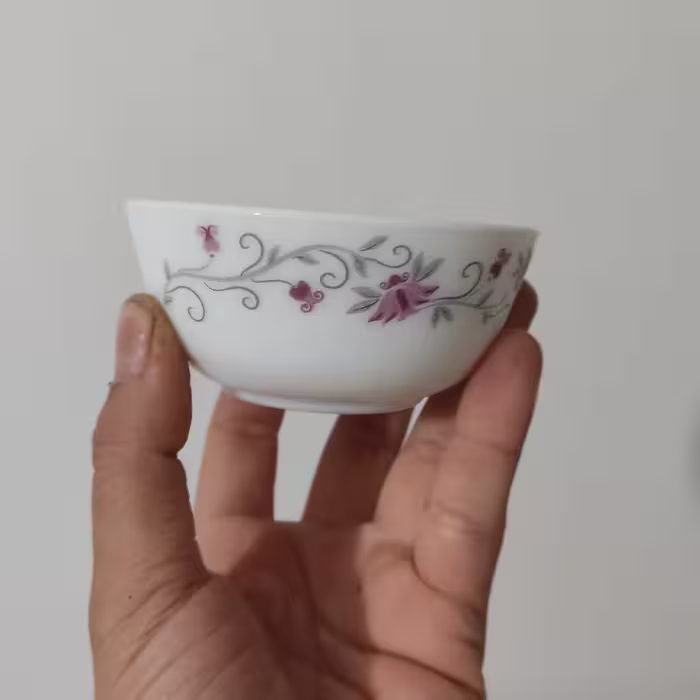 کاسه ماست  و ترشی خوری  آرکوپال  6عدد