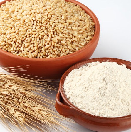 سویق جوانه گندم 250 گرمی