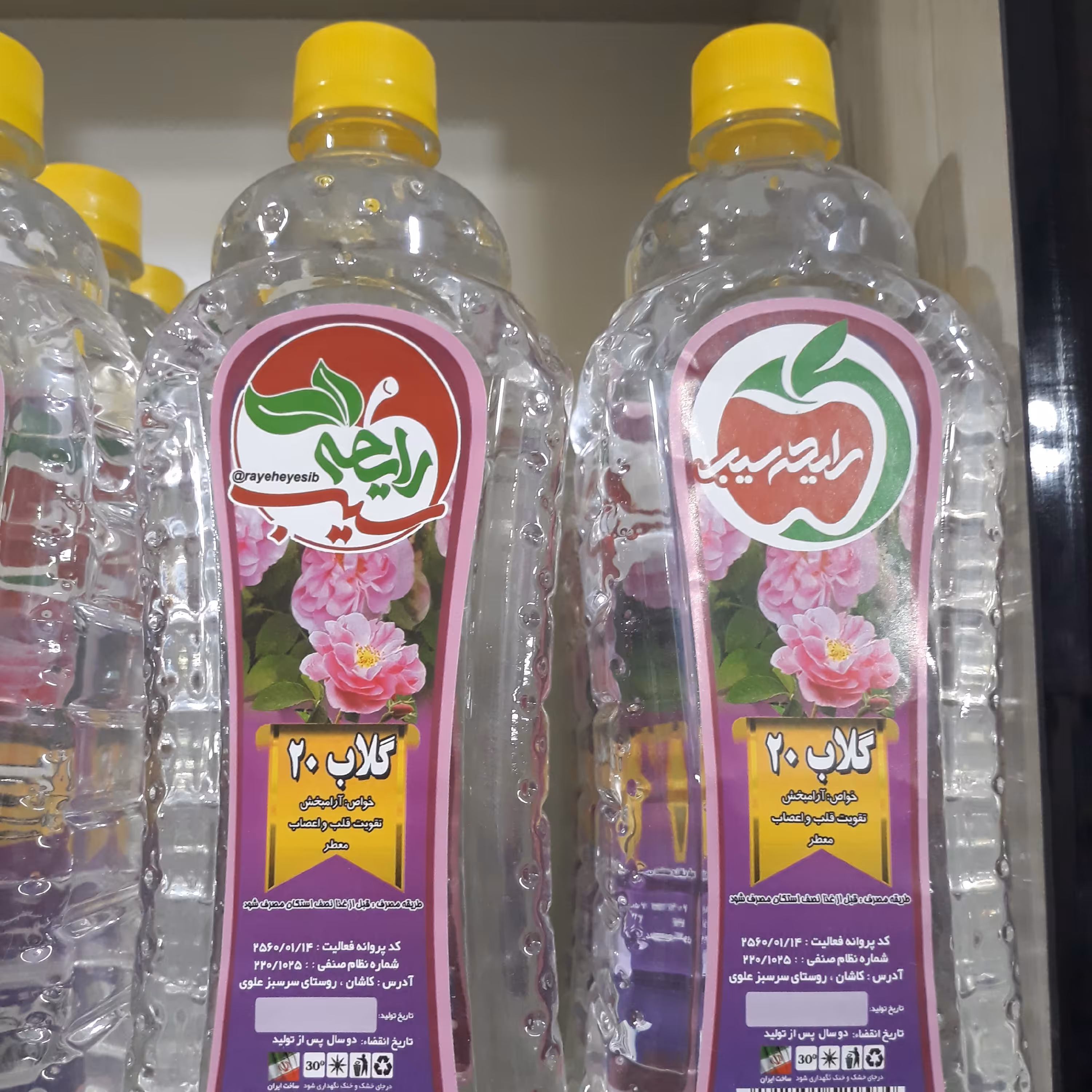 گلاب معمولی(20)