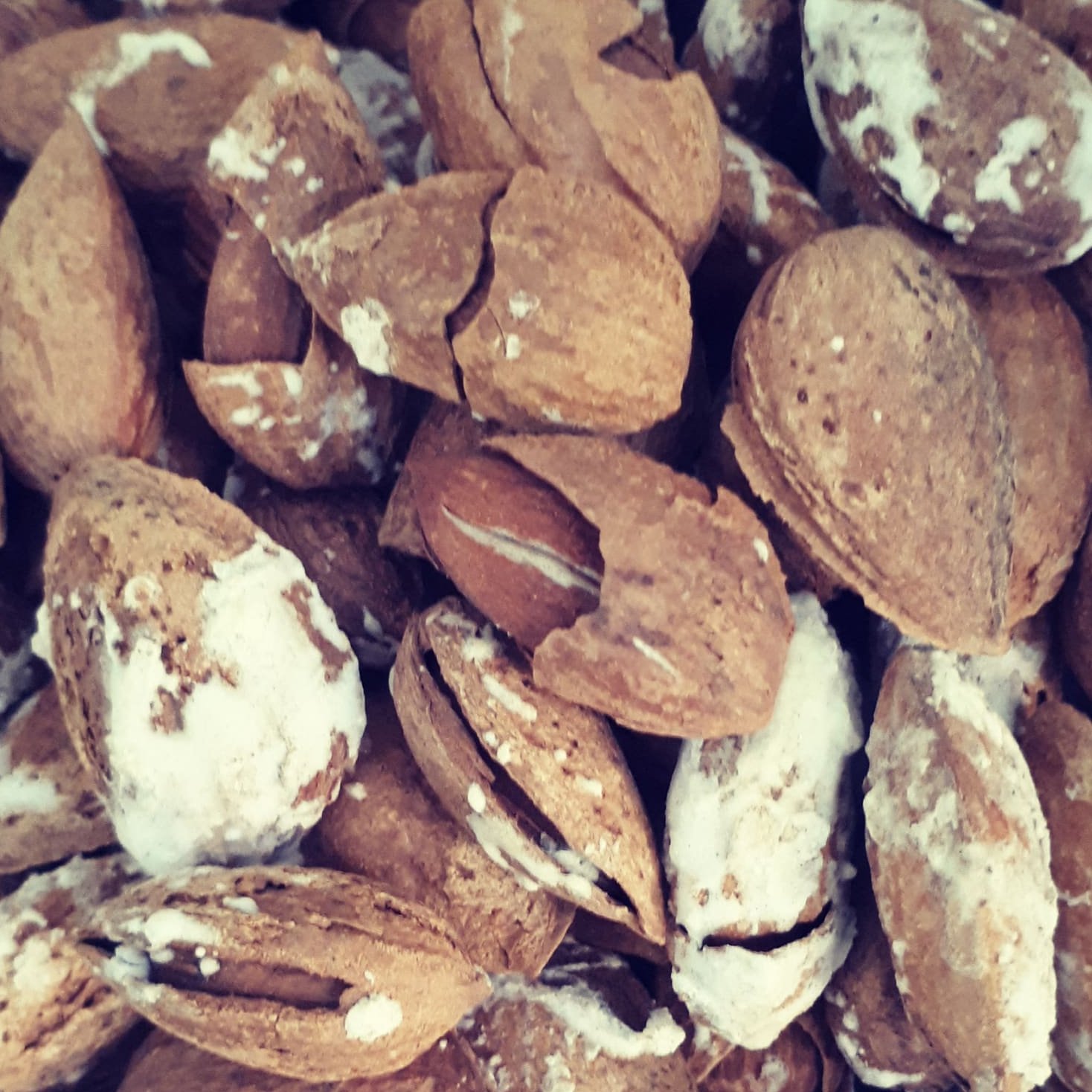 بادام منقا شور درجه یک(500گرمی)