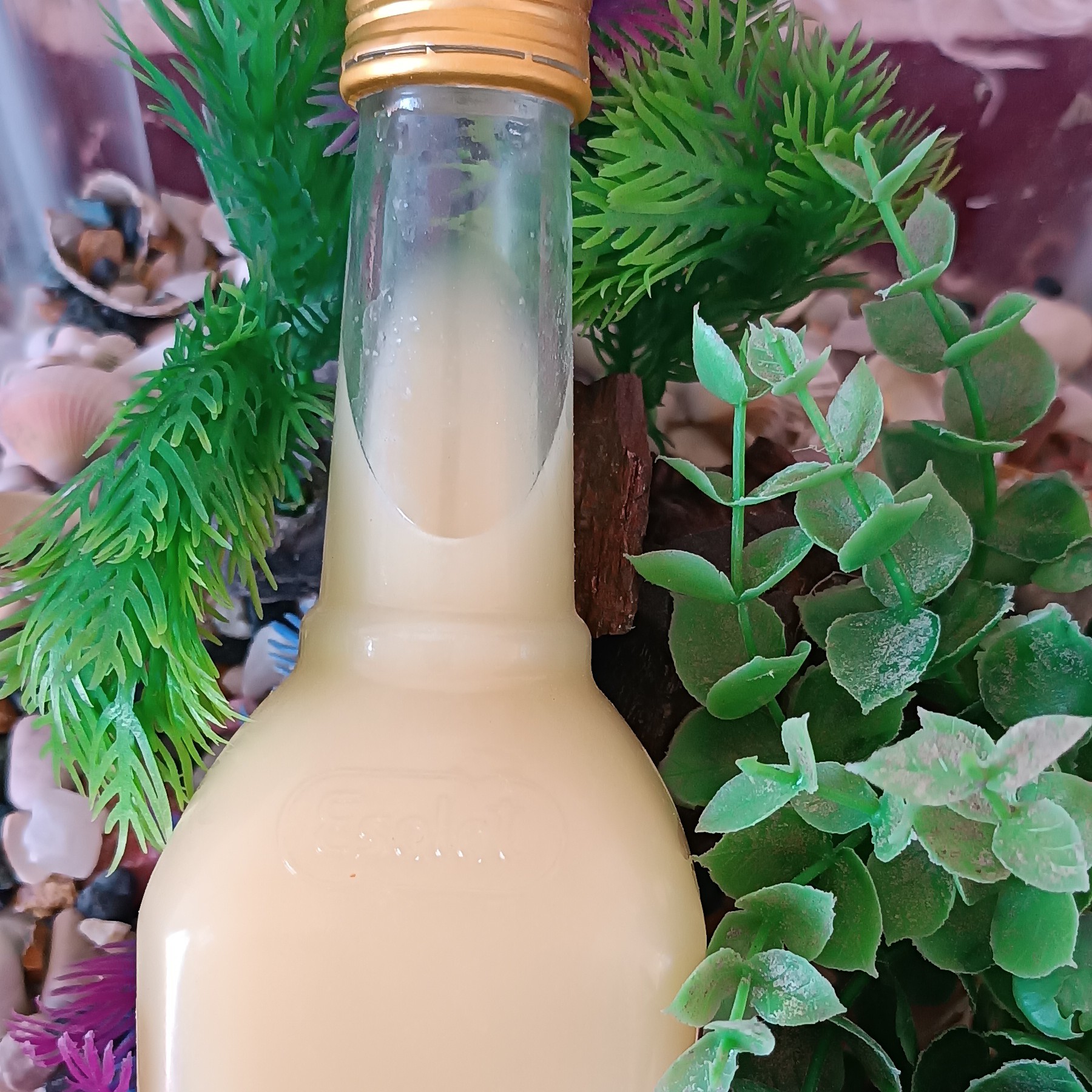 آب لیمو طبیعی و تازه روز سفارش آب گیری میشه پک شیشه ای قیمتش یکم بالاس ولی میتونید در بطری سفارش بدید که اقتصادی در بیاد