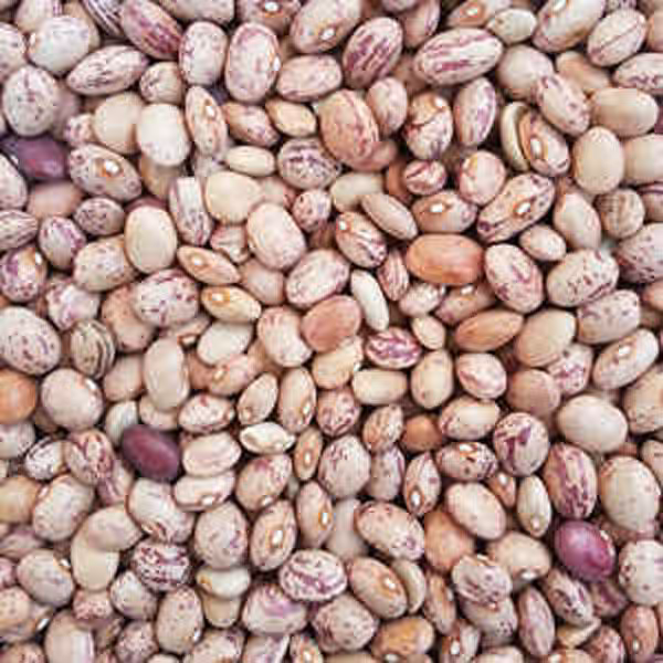 لوبیا چیتی ممتاز فدک  (600گرم)