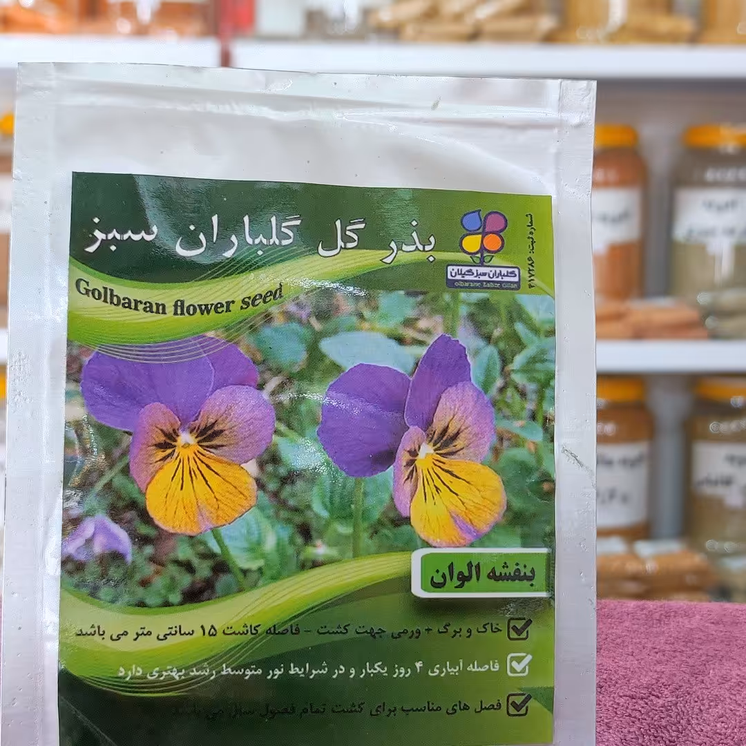 بذر گل بنفشه الوان اصلاح شده گیلان