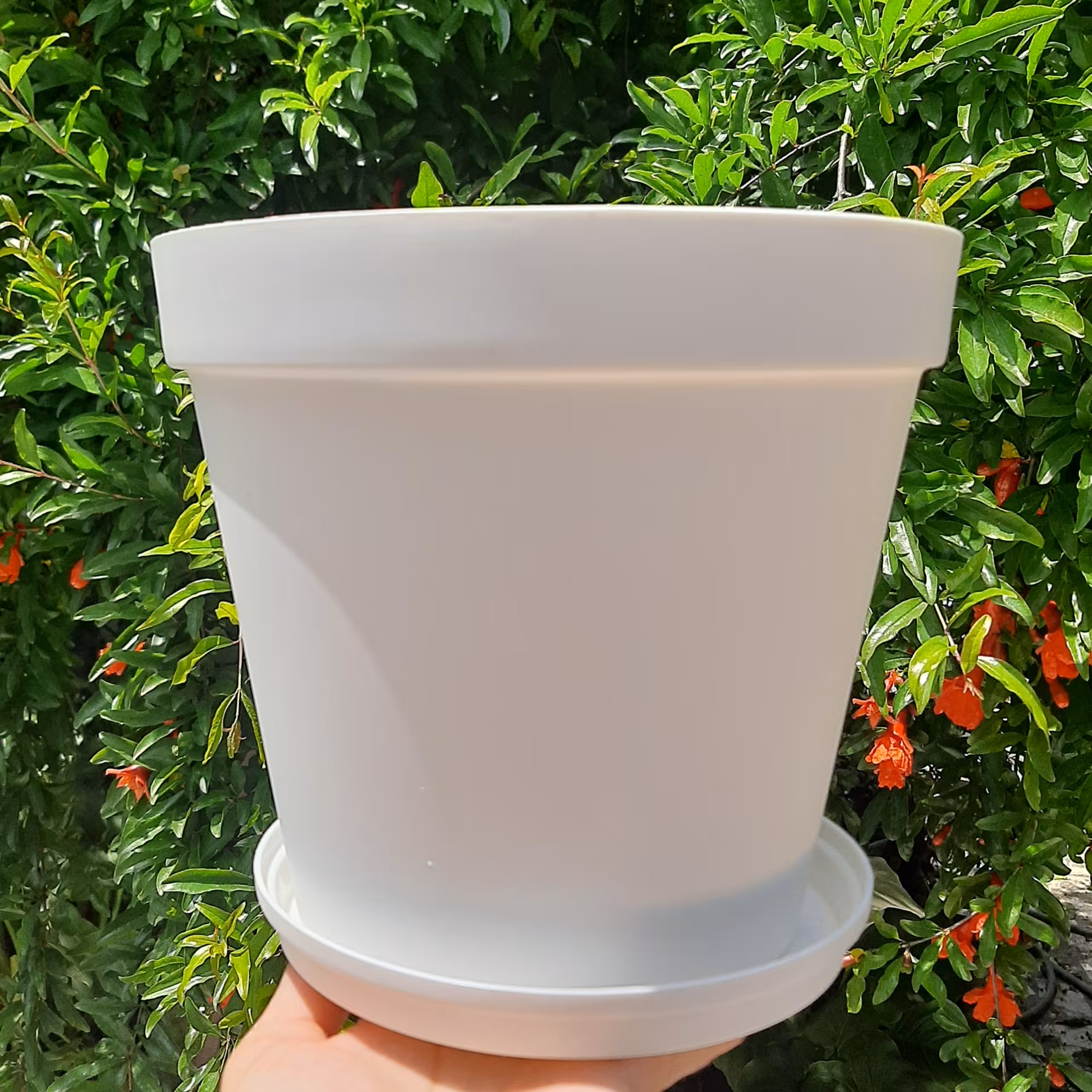 گلدان سایز 2000 رنگ سفید 