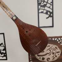 سه تار  مدل صوفی  بهمراه هاردکیس و ارسال رایگان