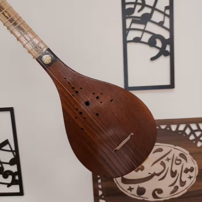 سه تار  مدل صوفی  بهمراه هاردکیس و ارسال رایگان