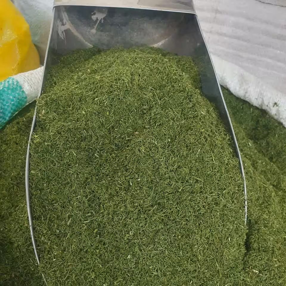 شوید خشک 200 گرم 