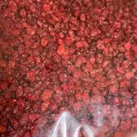 زرشک پفکی 1 کیلویی درجه یک 