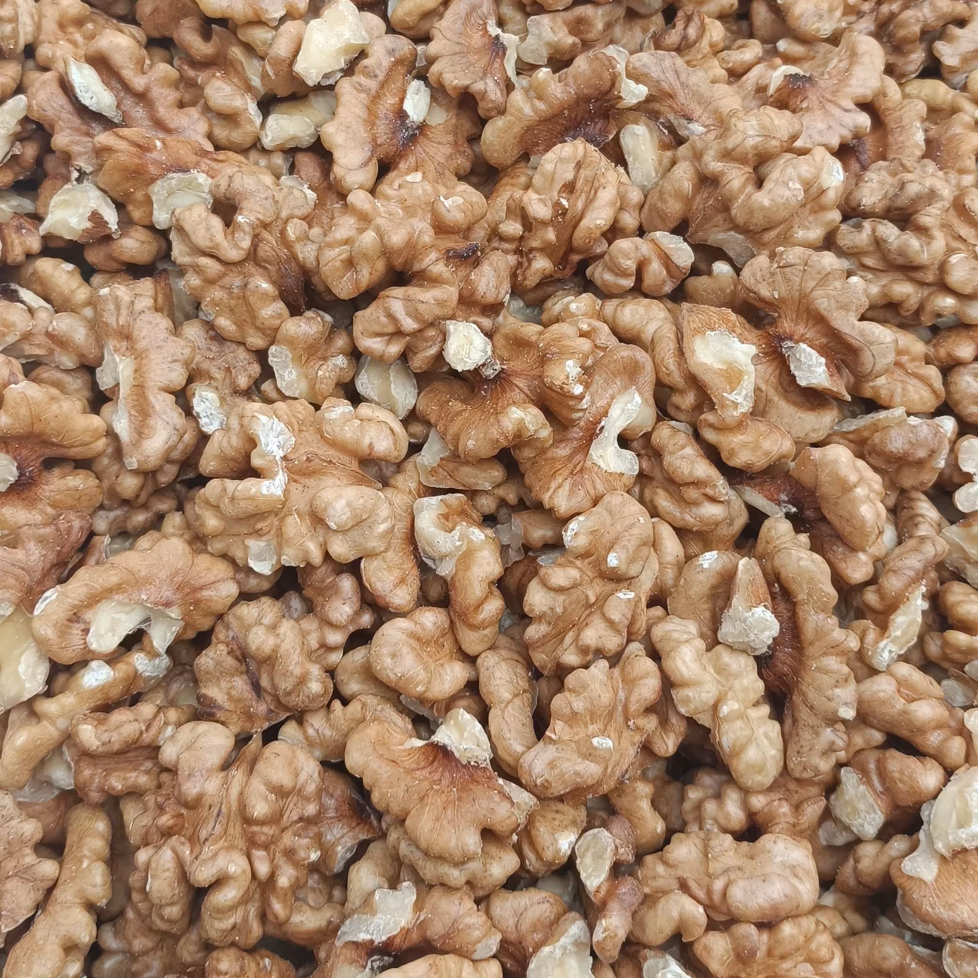 مغز گردو سفید ایرانی تازه شکن پرچرب و عالی نیم کیلویی آجیل و خشکبار مهران