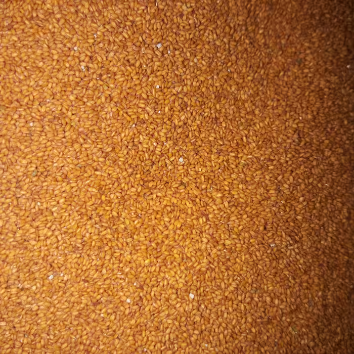 خاکشیر  (500 گرم)