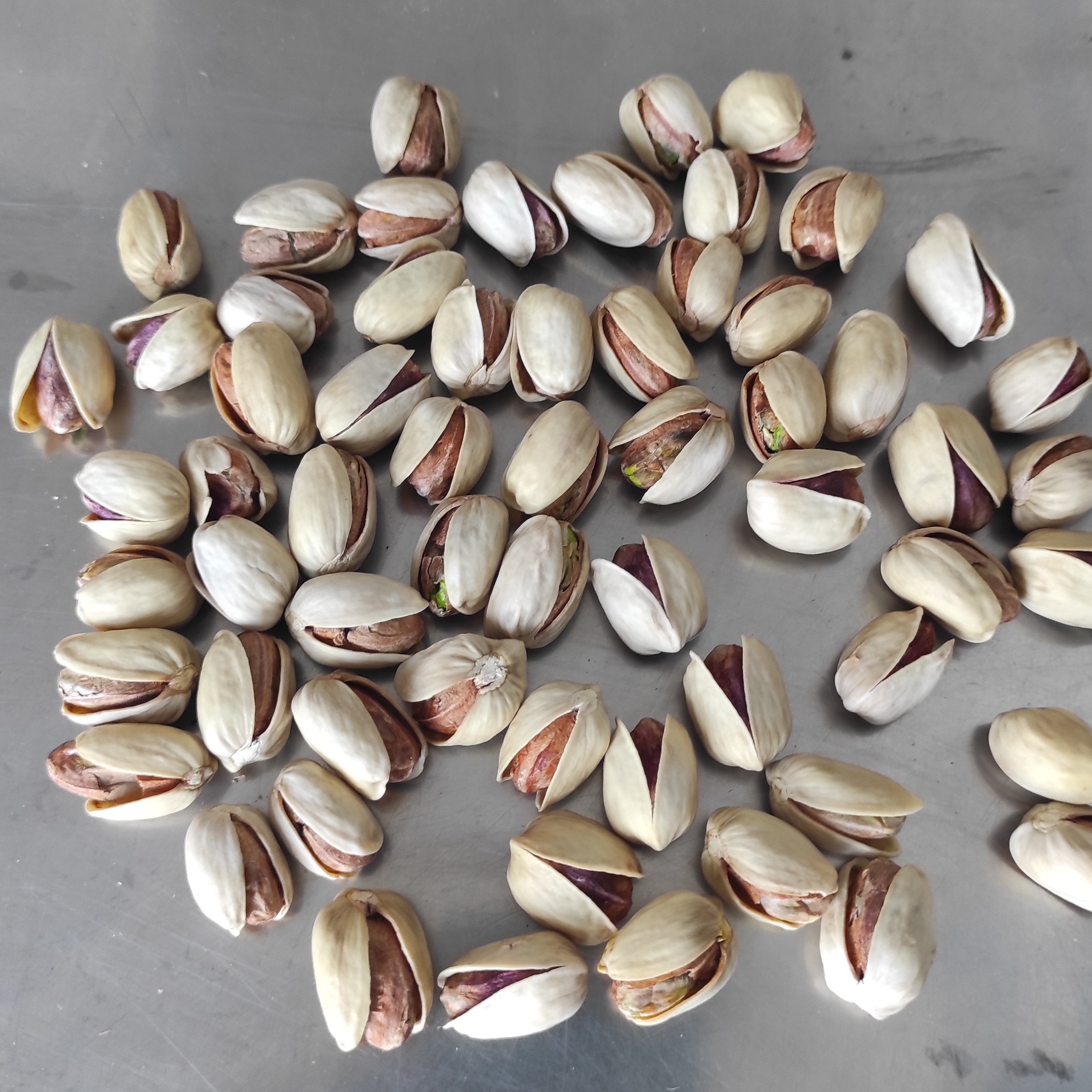 پسته گله قوچی خندان تازه
