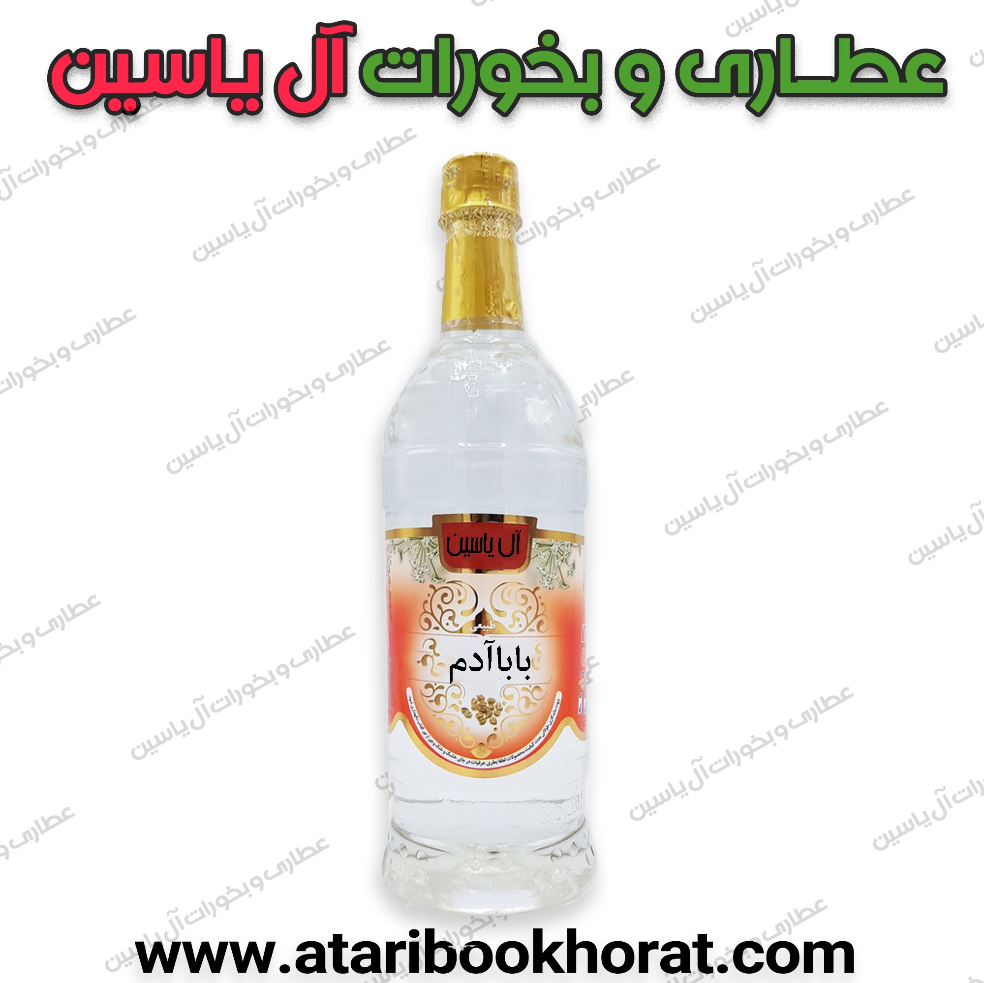 عرق باباآدم