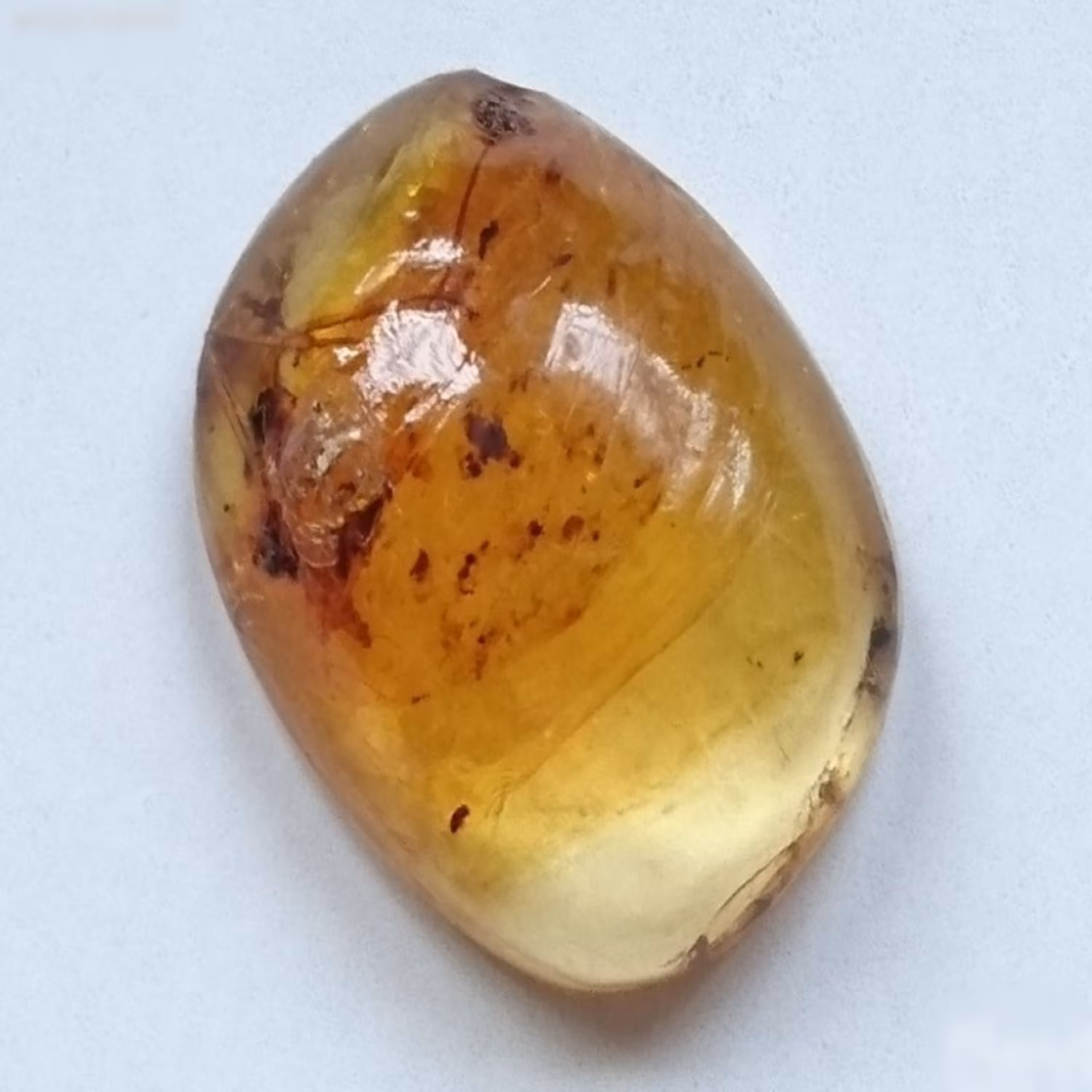 نگین کهربا حشره دار بالتیک طبیعی با شناسنامه معتبر (7)