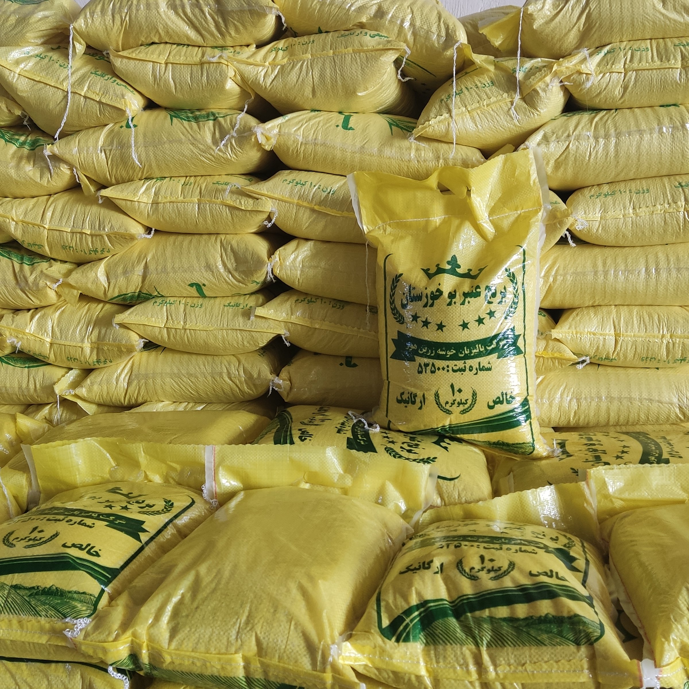 برنج محلی عنبربو خوزستان