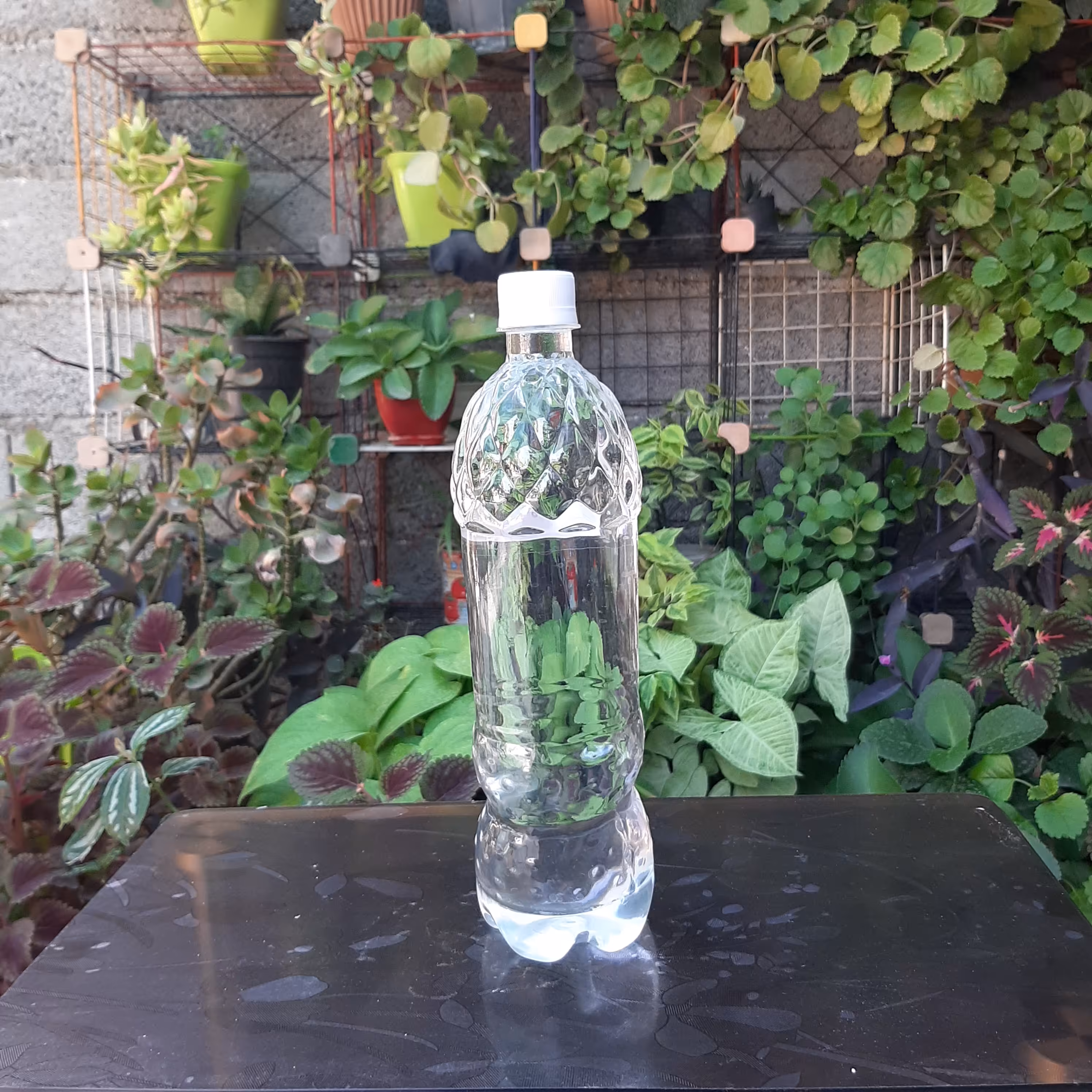 عرق نسترن اعلا سنگین یک لیتری