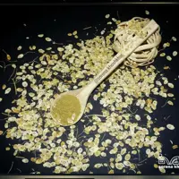 گلپر درجه یک خشکبار سورنا به صورت دان درجه یک بسته بندی 100 گرمی
