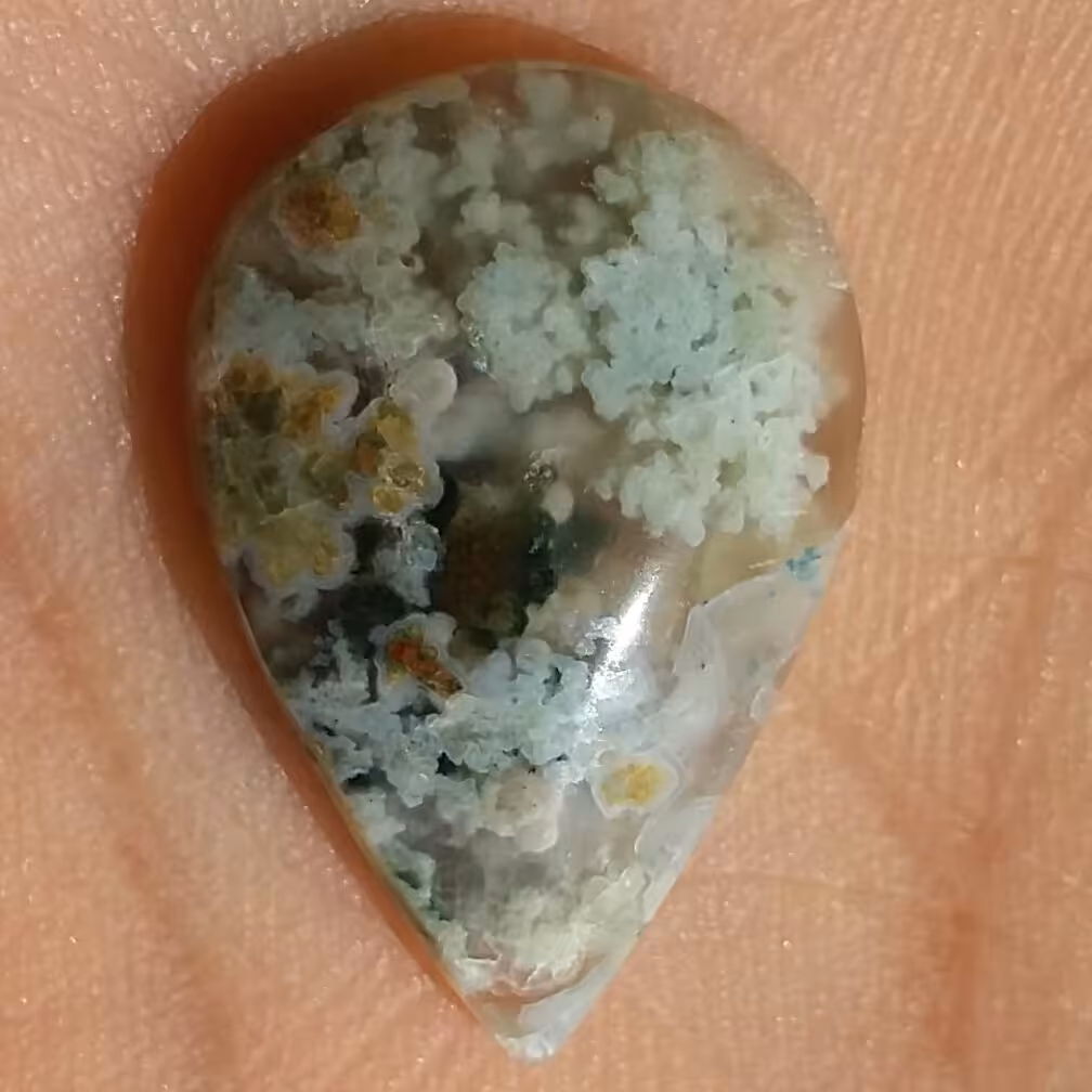 نگین شجر شکوفه هفت رنگ بی نظییییر 100درصد طبیعی