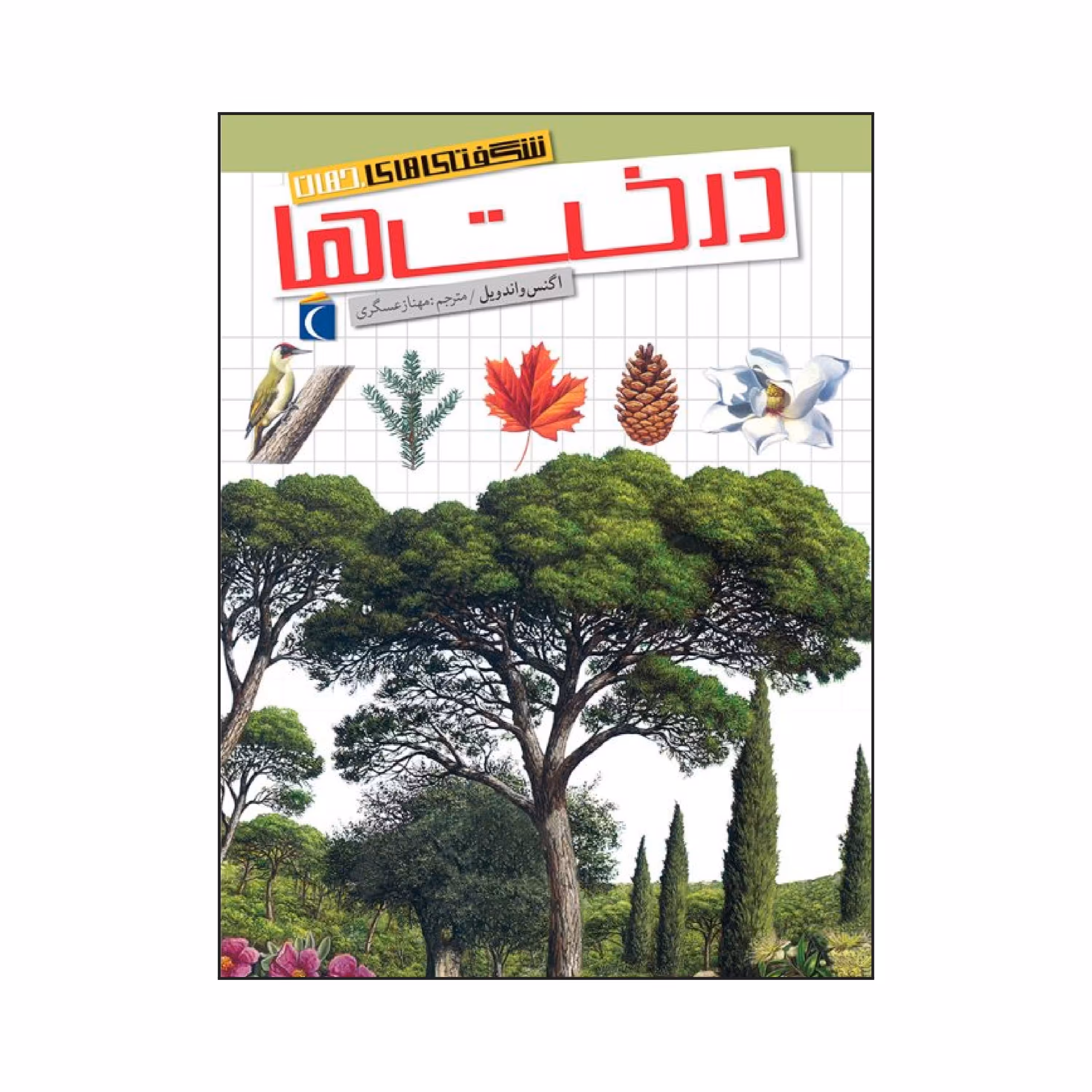 شگفتی های جهان - درخت ها