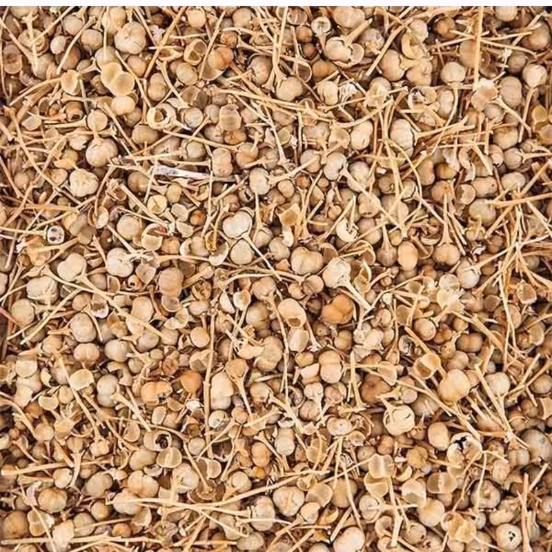 اسپند غوزه ای نخودی یک کیلویی