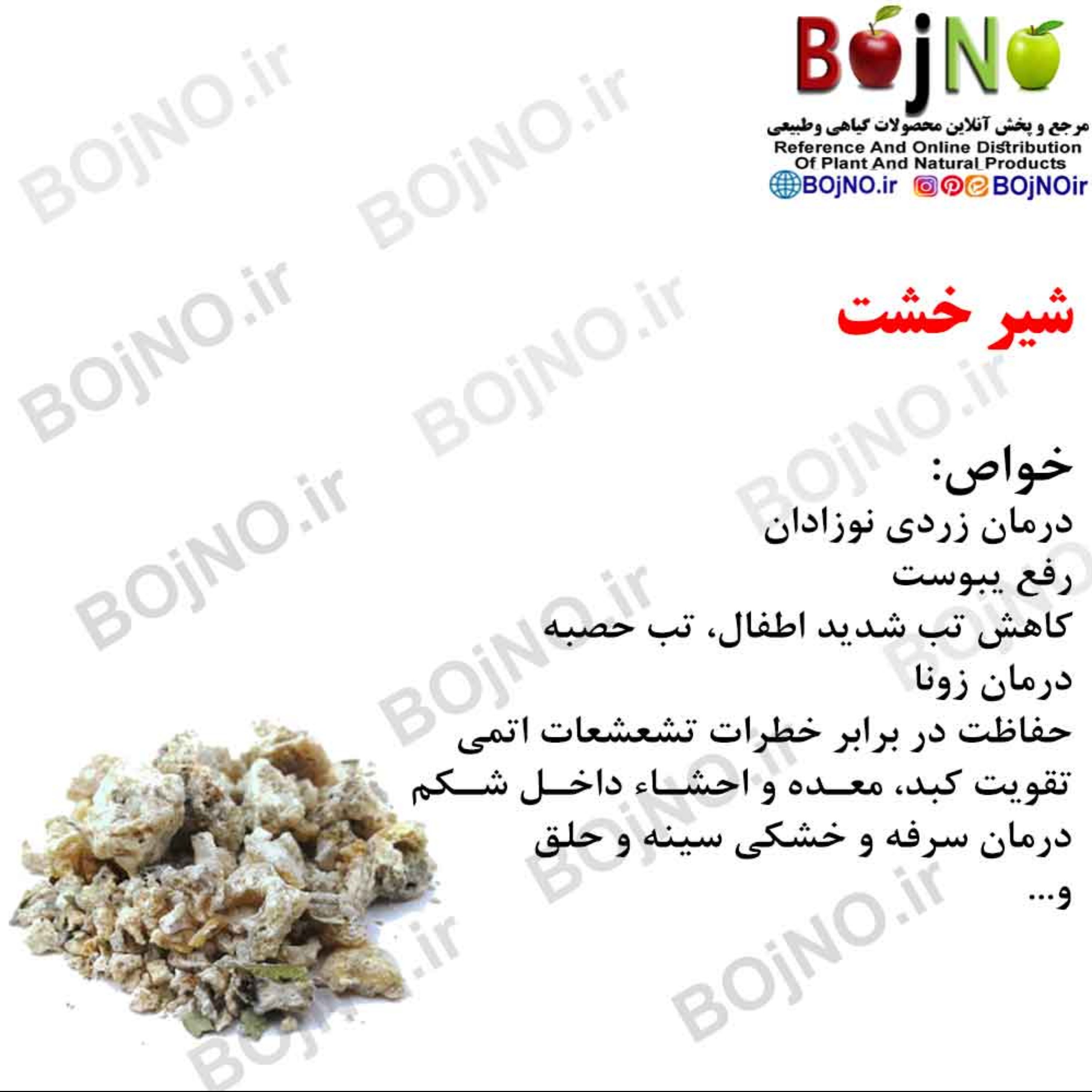 شیر خشت(بسته 50گرمی)
