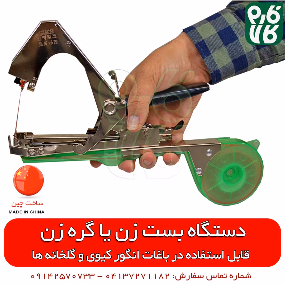 بست زن بوته گلخانه و انگور ایستاده