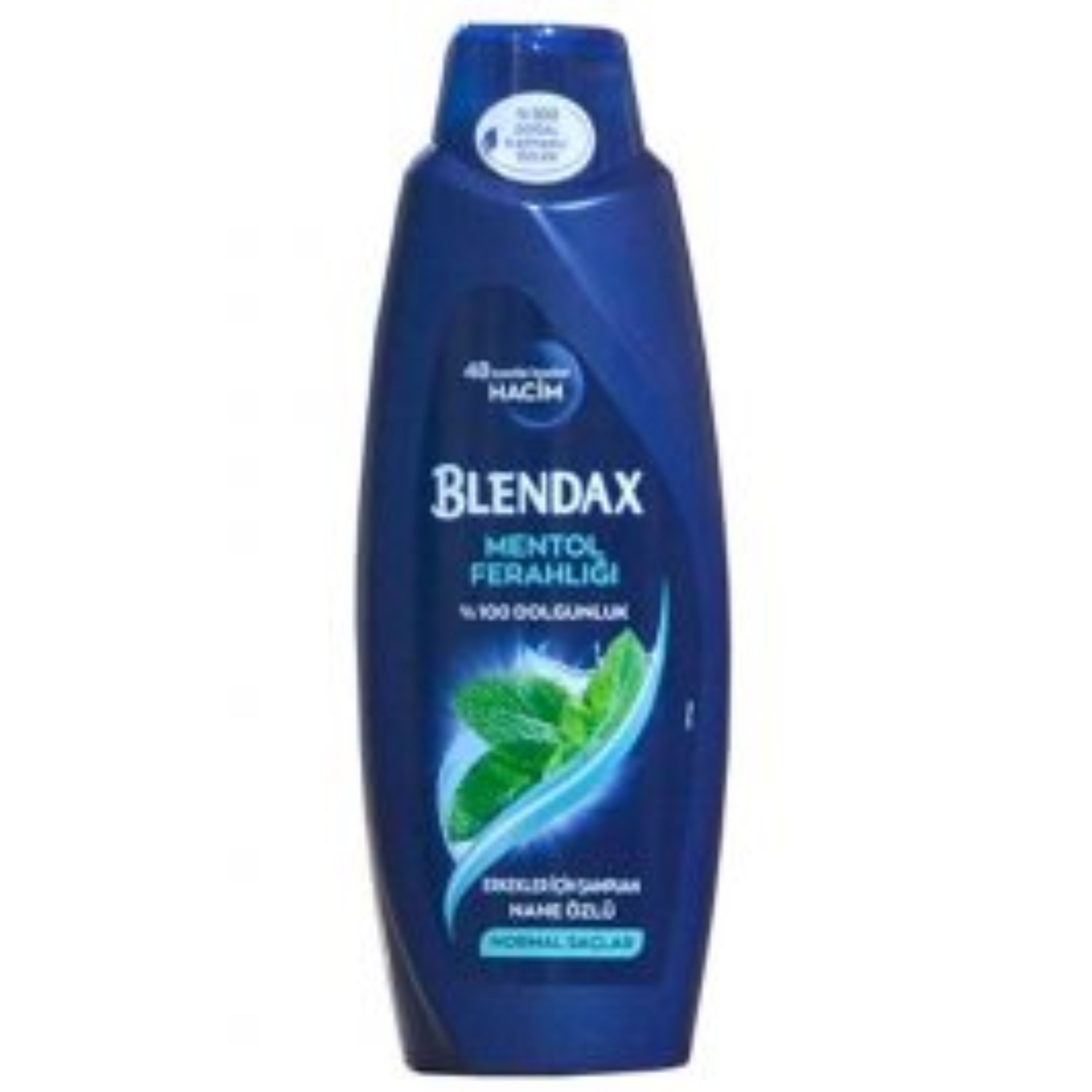 شامپو حجم دهنده مو مردانه با عصاره نعناع بلنداکس Blendax