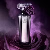 ادکلن YS با رایحه خاص میدنایت رز Midnight Rose