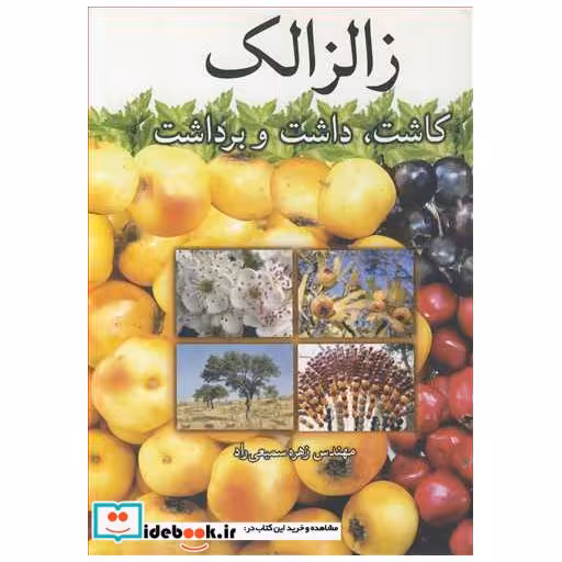 زالزالک کاشت، داشت و برداشت