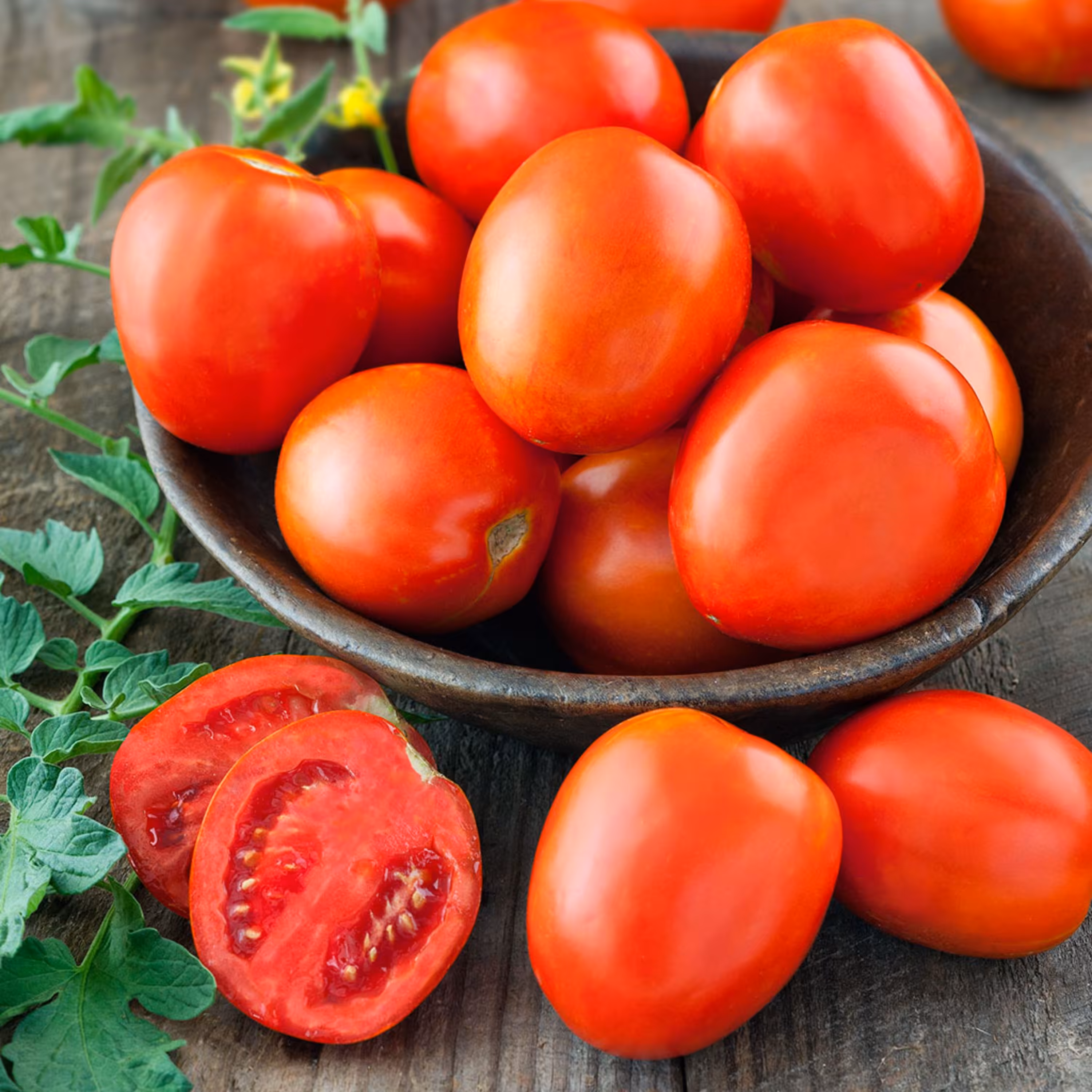 بذر گوجه گیلاسی جامبو 20عددی