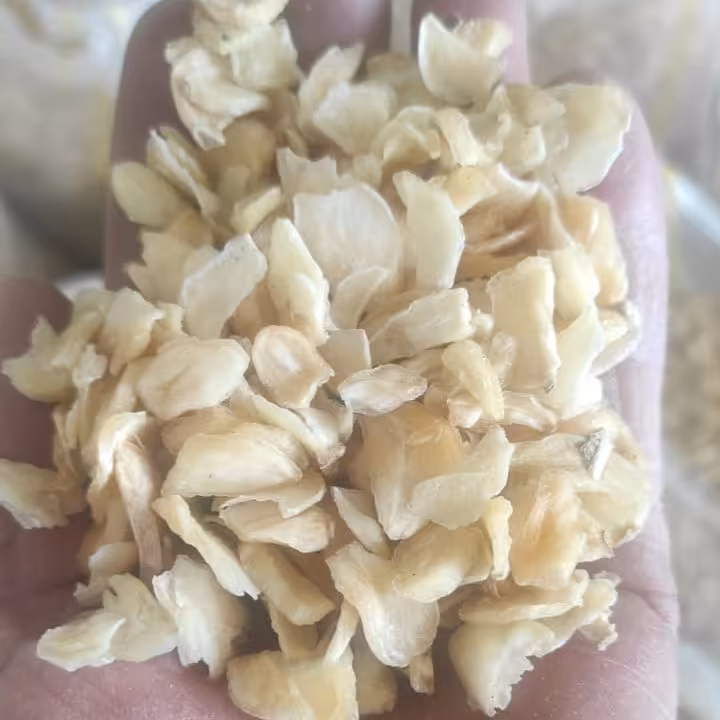 اسلایس سیر مناسب برای پودر  محصول امسال بوجاری شد درجه 1