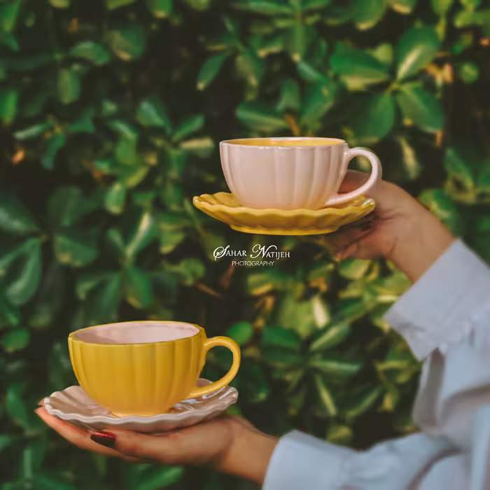 لته خوری  سرامیکی دستساز دالبری همراه با نعلبکی 