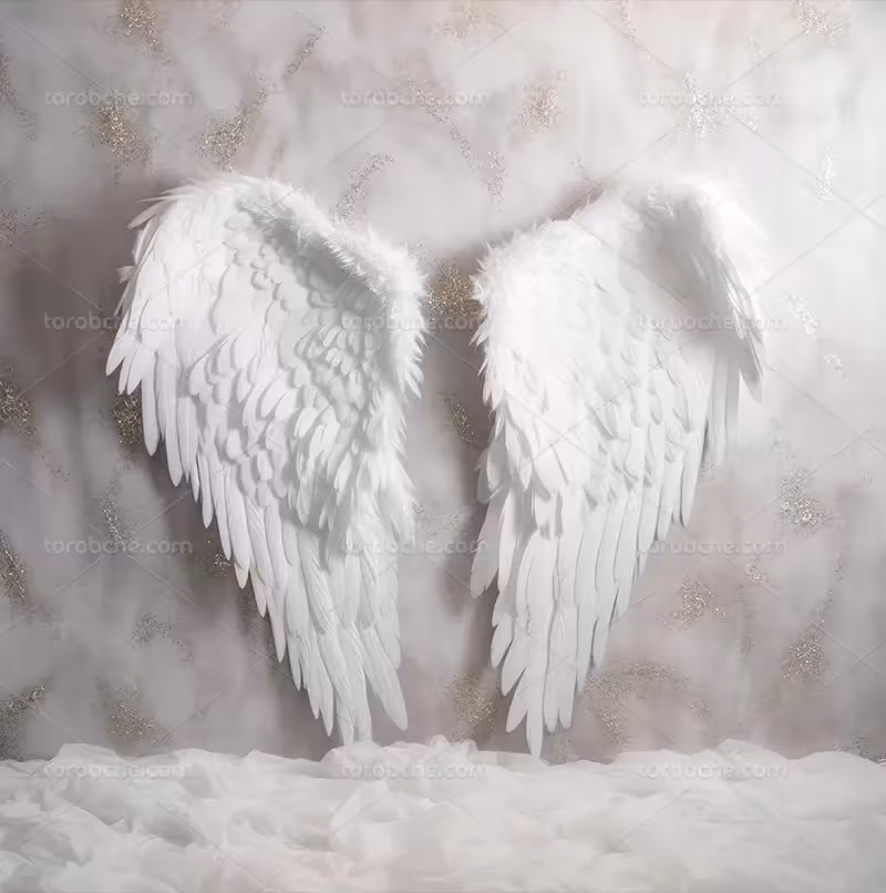 بک دراپ عکاسی بال فرشته | گرافیک با طعم تربچه