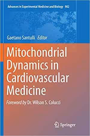 [PDF] دانلود کتاب Mitochondrial Dynamics In Cardiovascular Medicine, 2017