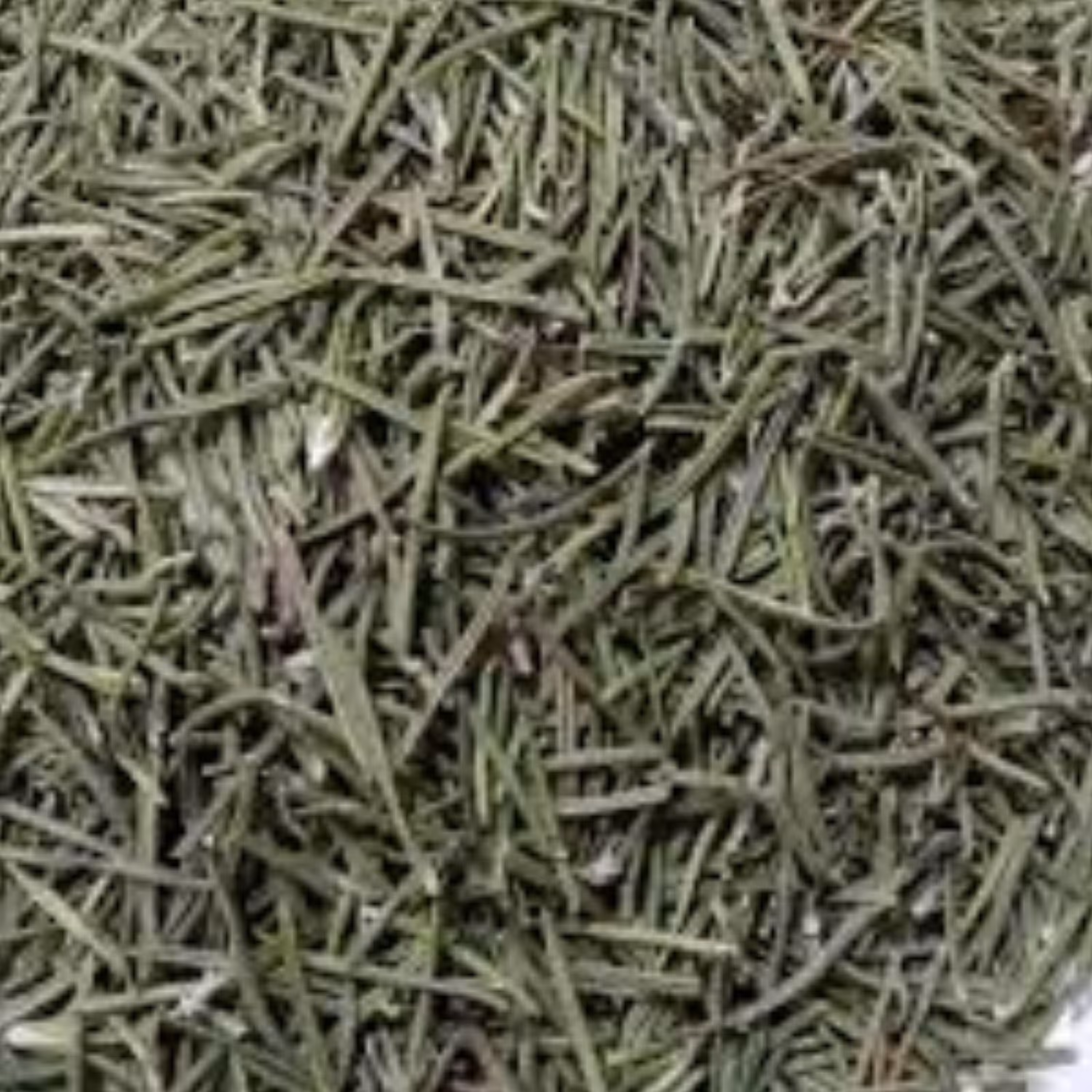 رزماری خشک(100گرمی)