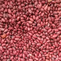 لوبیا قرمز اعلای خمین تینابار