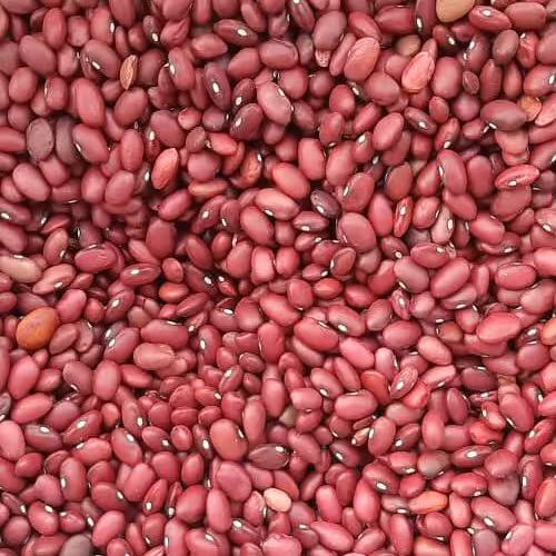لوبیا قرمز اعلای خمین تینابار