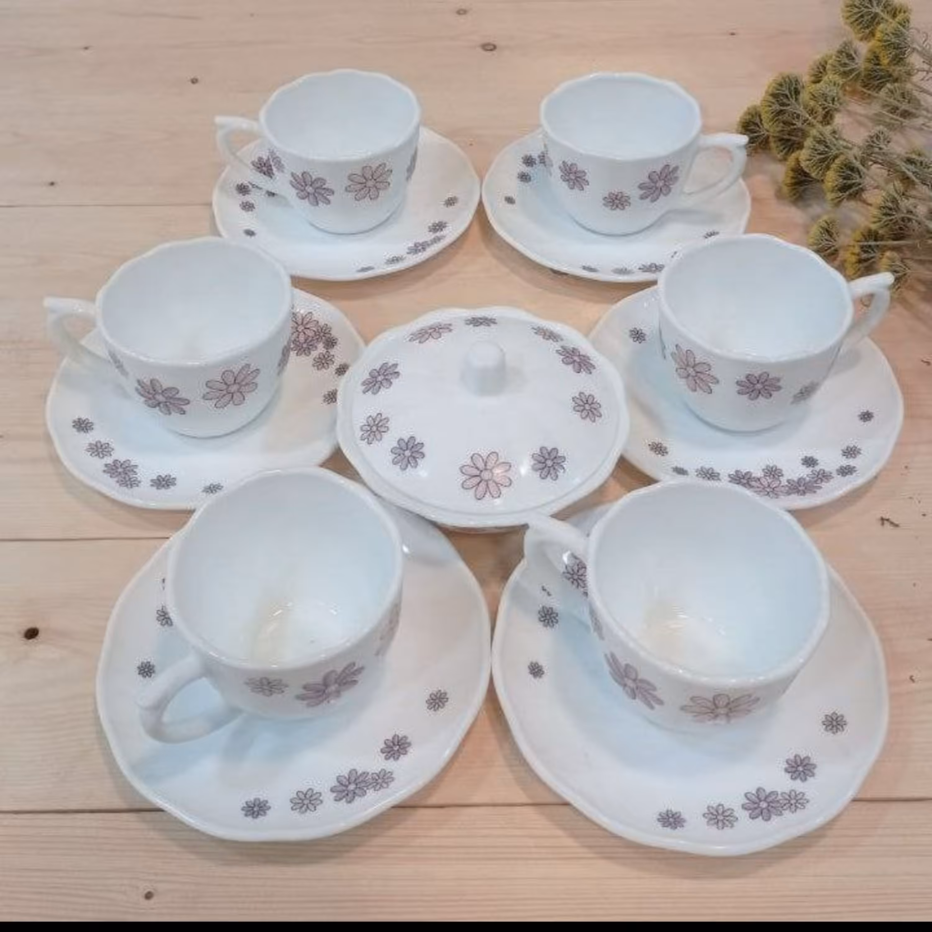 چای خوری اوپال 14پارچه (8سرویس)