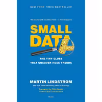 کتاب زبان اصلی Small Data اثر Martin Lindstrom انتشارات Picador Paper