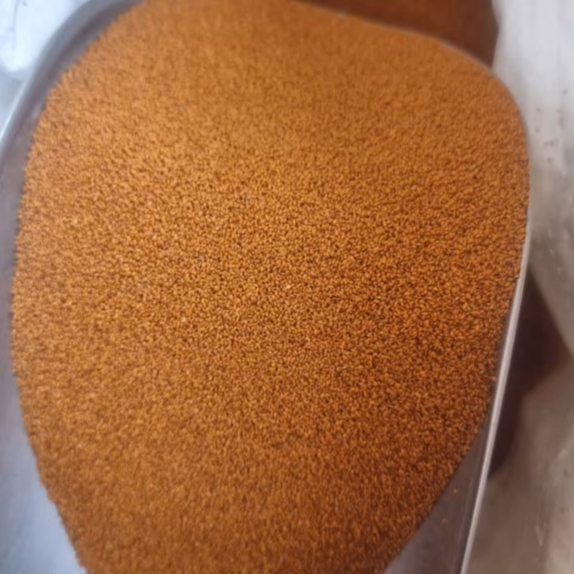 خاکشیر درجه یک همدان 10 کیلویی سورت شده بدون چوب و تمیز همراه با ضمانت کیفیت عمده