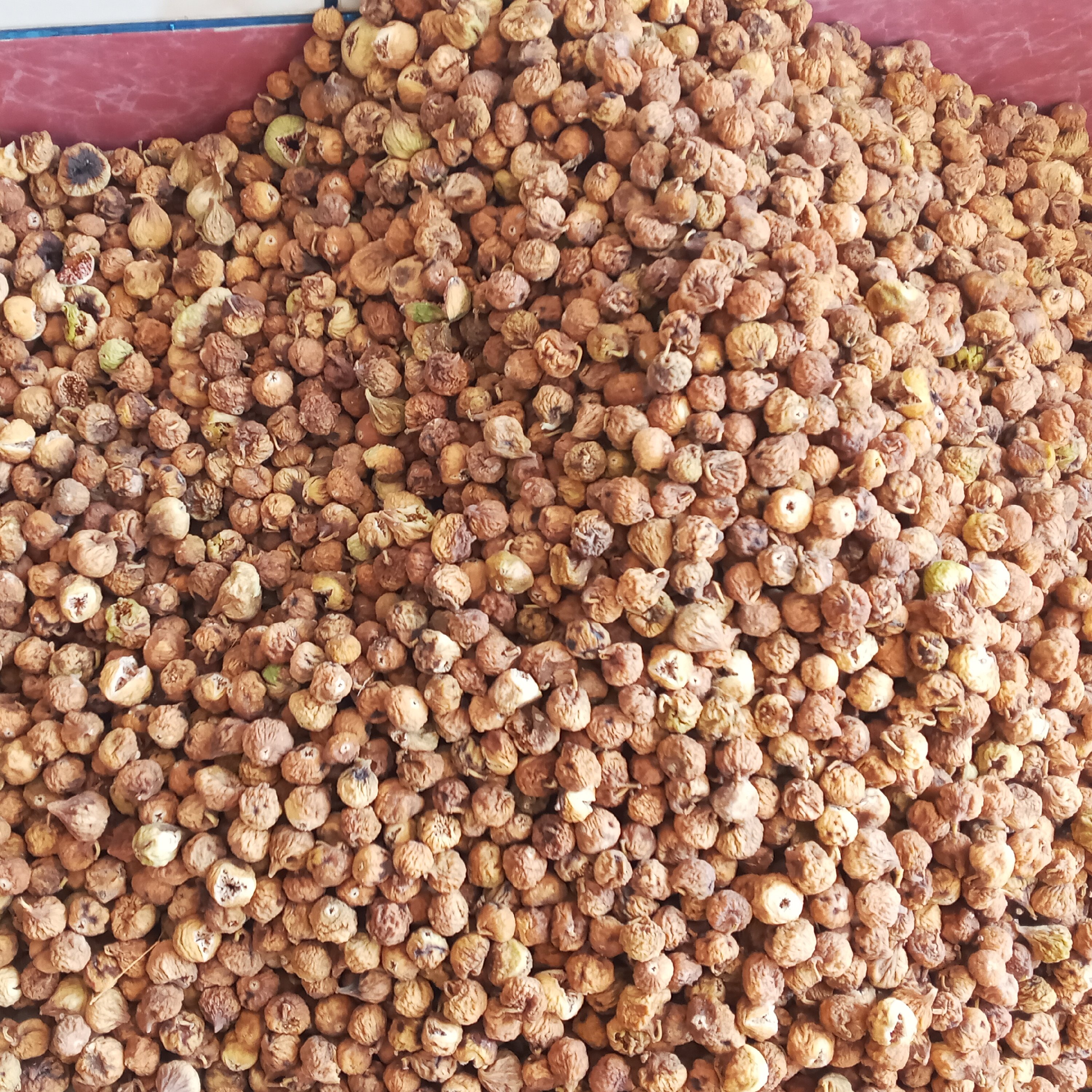 انجیر شکلاتی درجه2