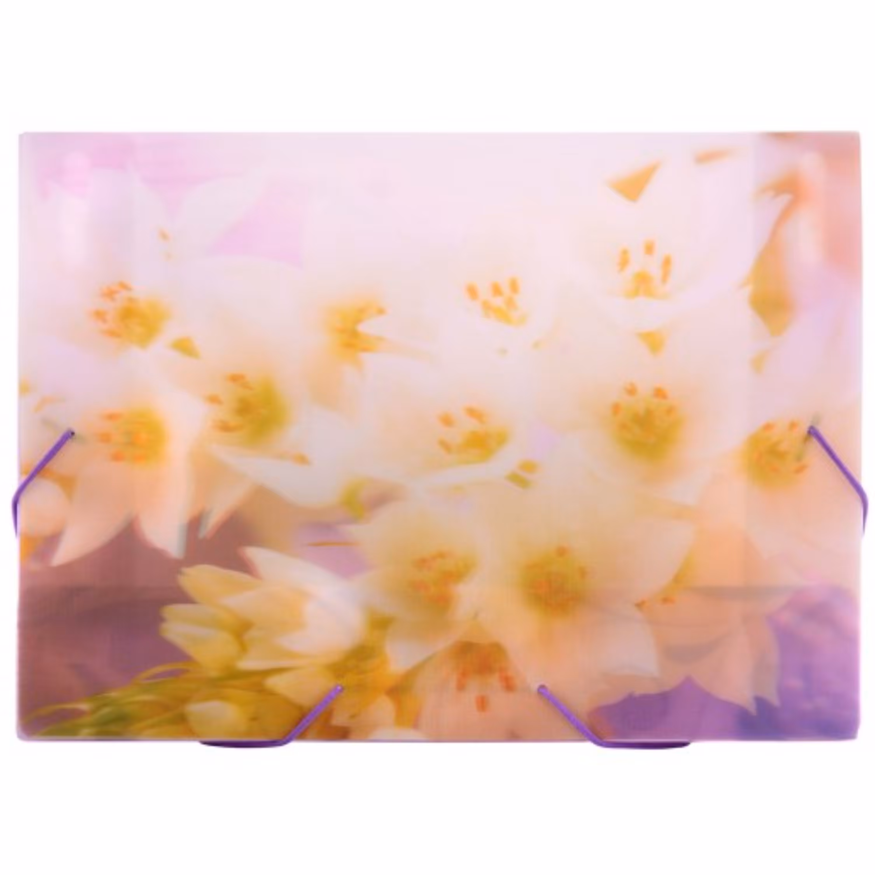 کیف مدارک کش دار طرح دار پاپکو کد S501-3F طرح 1