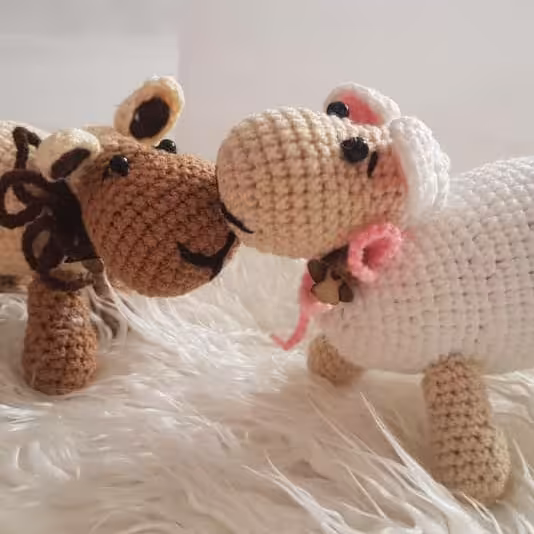 پک دو عددی سفید و کرم